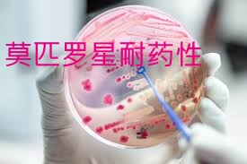 莫匹罗星—jxf吉祥坊正面临失去它的危险？